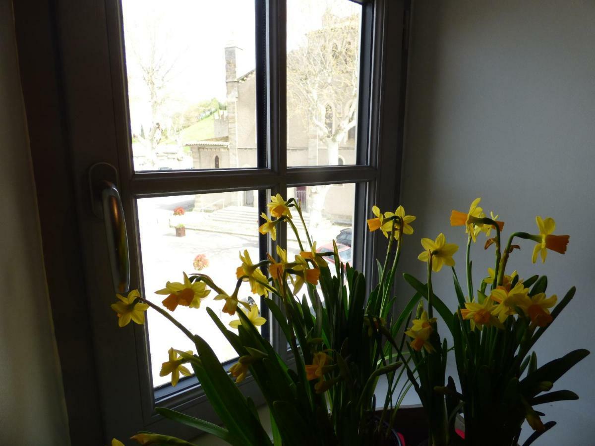 Appartement Carcasso Carcassonne